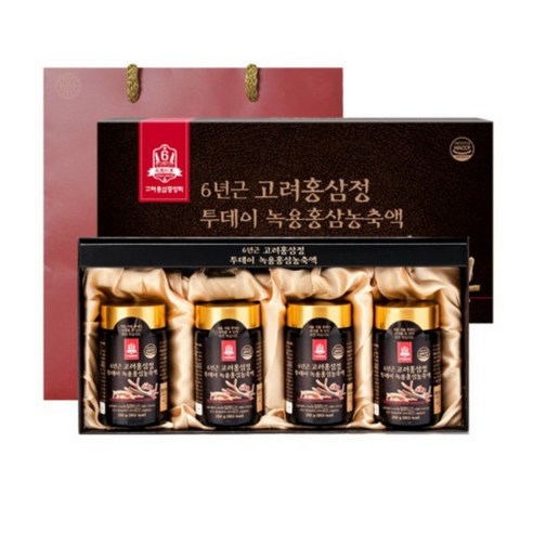 고려홍삼중앙회 6년근 고려홍삼정 투데이 녹용홍삼농축액 + 쇼핑백, 250g, 1세트