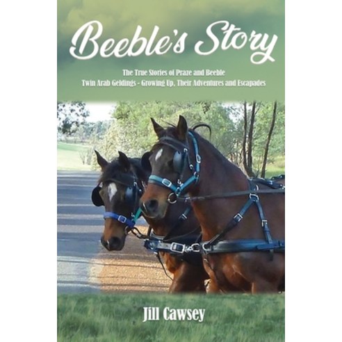 (영문도서) Beeble''s Story Paperback, Universal Breakthrough, English, 9781639014620