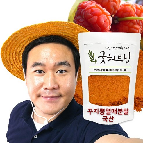 꾸지뽕 구찌뽕 구지뽕 열매 가루 분말 국산 250g 굿허브닝, 2개