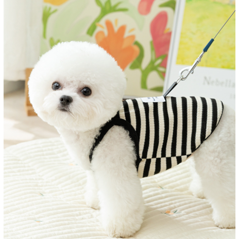 세련된 강아지 옷으로 시원하게 여름을 보내보세요.