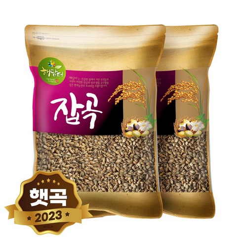 현대농산 국산 흑보리 10kg (5kgx2봉) 검정찰보리, 2개