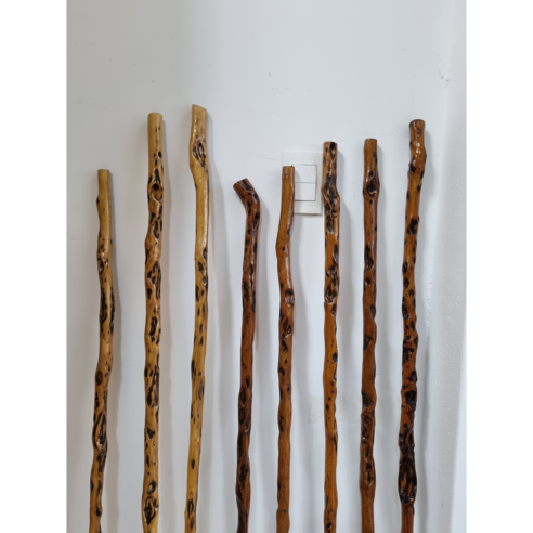 걷는 즐거움을 되찾아줄, 자연을 담은 특별한 지팡이