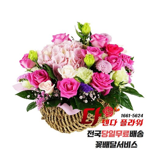[오케이나우ㅣ강추] 다덴다플라워 생화 장미 꽃바구니: 품격 있는 선물 선택 [OKNOWㅣ추천상품]