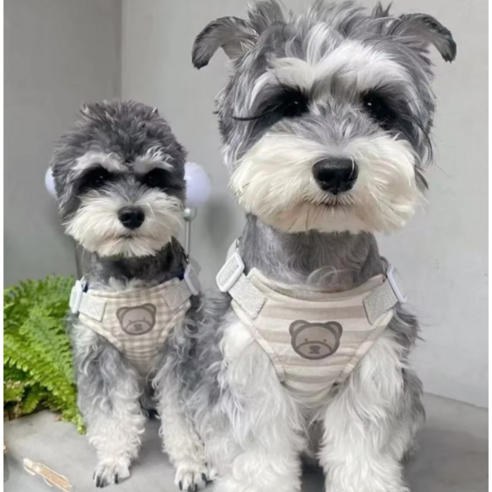강아지 곰돌이 반려동물 목줄 하네스 산책 세트줄, Stripe