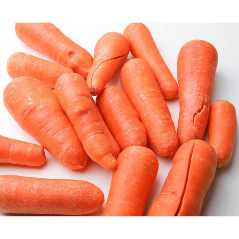 제주 구좌의 건강한 이름만 못난이 세척당근