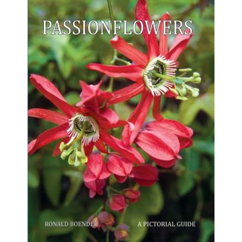 (영문도서) Passionflowers: A Pictorial Guide Paperback, Independently Published, English, 9781793800268