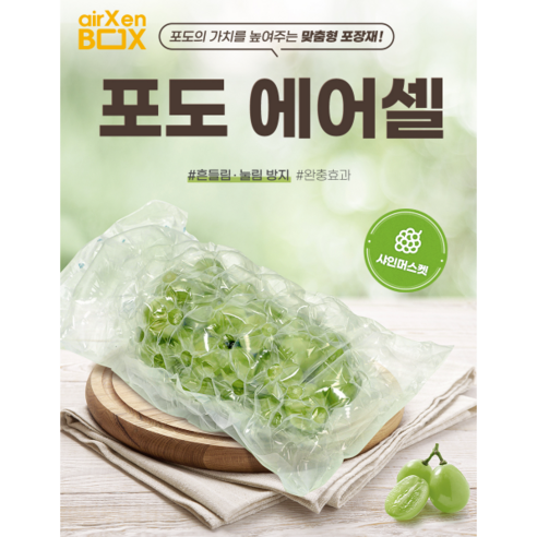 (샘플) 포도에어셀 한송이용 2KG용 샤인머스켓 켐벨 망고포도 청포도 완충재, 2호, 1개
