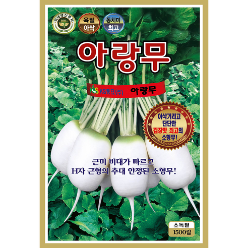 열무 배추 무 씨앗 모음 종자, 2개