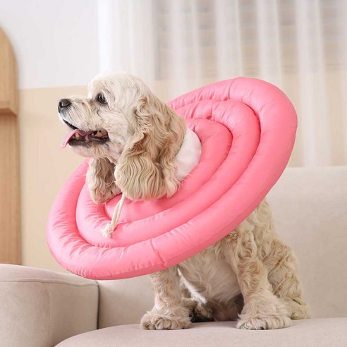 반려동물의 안전과 건강을 위한 두유레디 넥카라