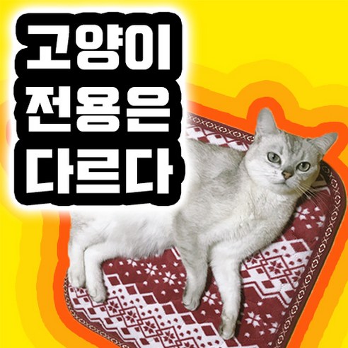 집사랜드 전기방석 고양이 강아지 전용 겨울 따뜻한 극세사, 리틀스타화이트