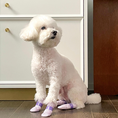미르팩토리 강아지 일회용 신발 양말 댕댕슈즈