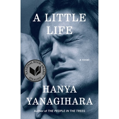 (영문도서) A Little Life Hardcover, Doubleday Books, English, 9780385539258