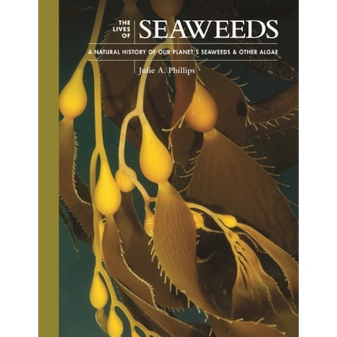 The Lives of Seaweeds: A Natural History of Our Planet''s Seaweeds & Other Algae Hardcover, Princeton University Press, English, 9780691228556