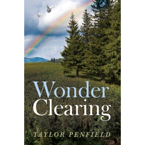(영문도서) Wonder Clearing Hardcover, Resource Publications (CA), English, 9781532686153