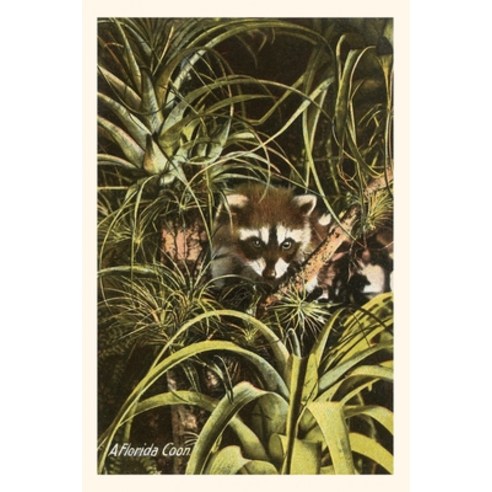 (영문도서) Vintage Journal A Florida Coon Pineapples Paperback, Found Image Press, English, 9781669519782