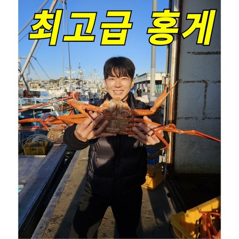 [산지직송](자숙 찜)프리미엄 최고급 홍게 연지홍게 붉은대게, 1개, 연지홍게실속2kg 7~8미 수율50%