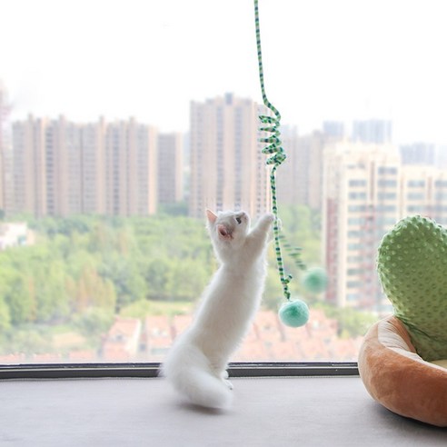 럭키펫 고양이 장난감 스프링 폼폼 셀프 낚시대