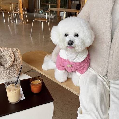 포근포근 강아지털옷 겨울 애견 의류, 1개, 핑크
