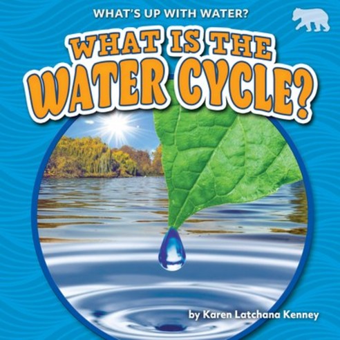 What Is the Water Cycle? Library Binding, Bearcub Books, English, 9781647474928