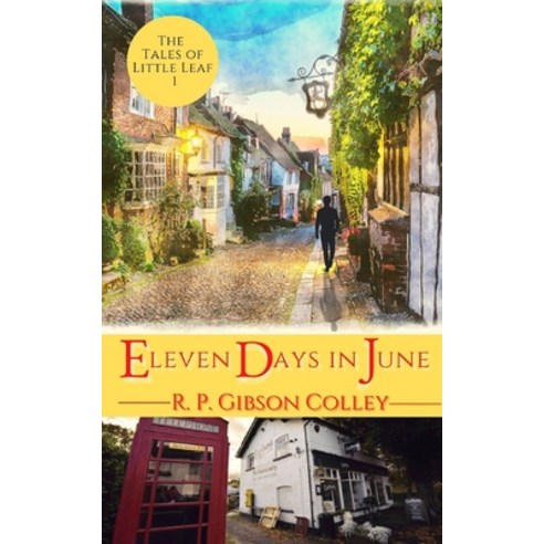 Eleven Days in June Paperback, Rupert Colley, English, 9781838013493