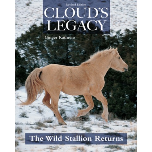 Cloud''s Legacy: The Wild Stallion Returns Paperback, Companionhouse Books, English, 9781620083628