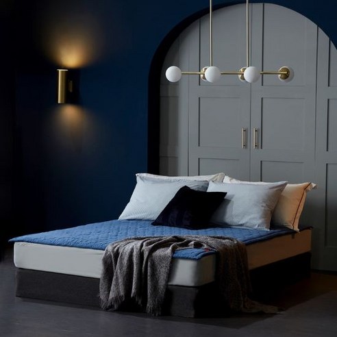 셀리온 인공지능 DC 카본 탄소매트 코지블루