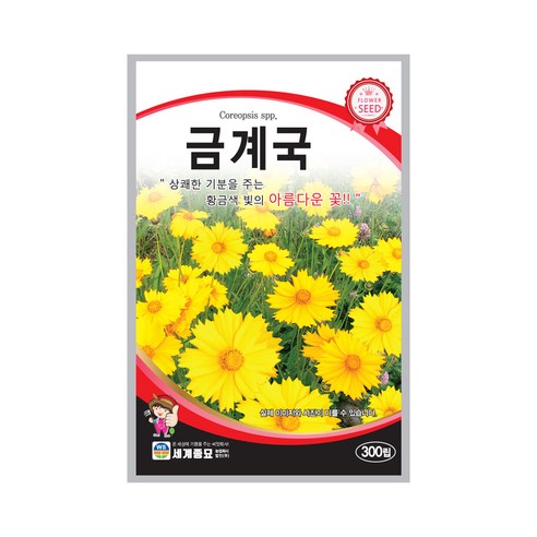 금계국 씨앗 꽃씨 300립 꽃씨앗 세계종묘 모칸도, 1개 추명국 금계국 씨앗 꽃씨 300립 꽃씨앗 세계종묘 모칸도, 1개 추명국