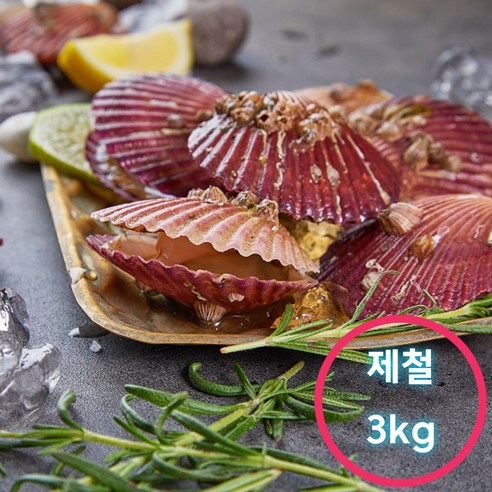 산지수업 통영 세척 선별 제철 홍가리비 통영직송 당일조업, 1개, 2kg