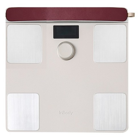 인바디 다이얼 체중계