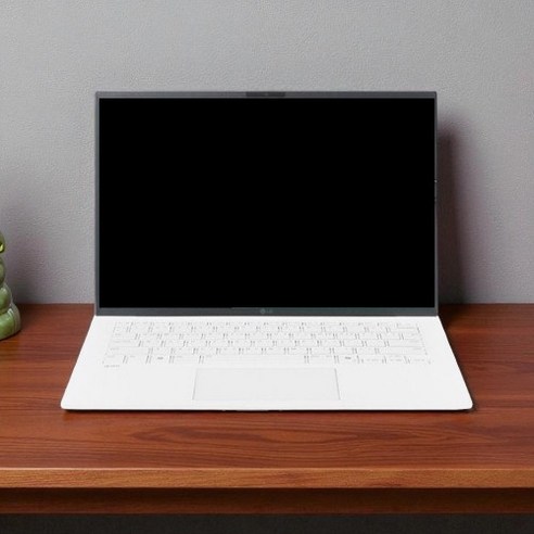 LG전자 2025 그램 Ai 14 코어Ultra5, 에센스화이트, 256GB, 16GB, WIN11 Home, 14Z90T-GA50K
