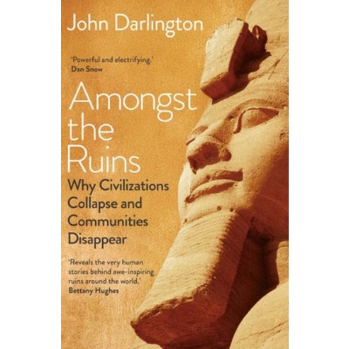 (영문도서) Amongst the Ruins: Why Civilizations Collapse and Communities Disappear Hardcover, Yale University Press, English, 9780300259285