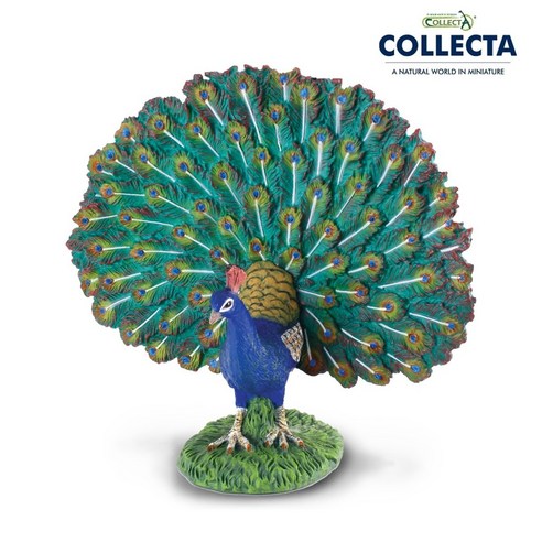신비로운 색채의 향연, 컬렉타 공작새 피규어로 만나는 자연의 예술 공작새