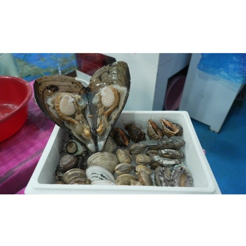 조개구이 밀키트 캠핑 글램핑 새우 500g 조개 2kg