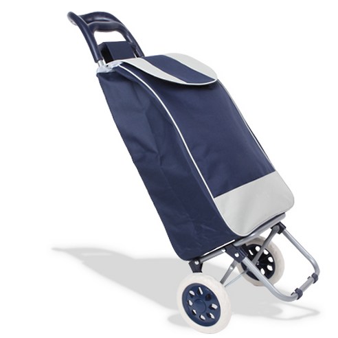 편리한 쇼핑의 동반자