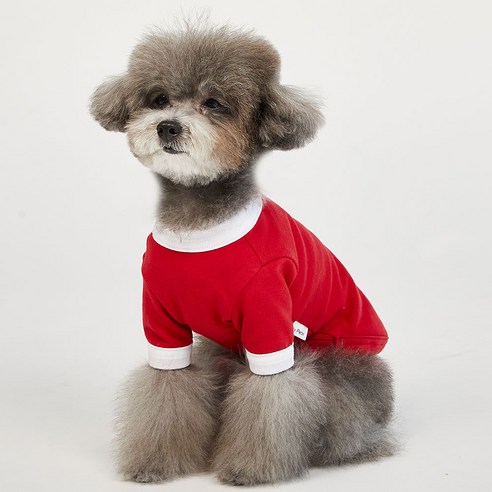 럭키페터 컬러링거 강아지 옷 소형견 대형견 티셔츠 실내복 강아지 내복, 레드/화이트, 1개