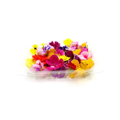 식용꽃: 시각적 아름다움과 건강상의 이점