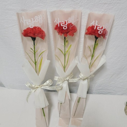 레드카네이션 한송이꽃다발: 진심을 담은 특별한 선물