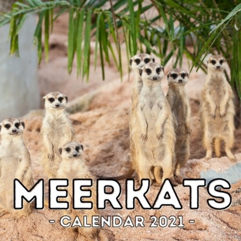 (영문도서) Meerkats Calendar 2021: 16-Month Calendar Cute Gift Idea For Meerkat Lovers Women & Men Paperback, Independently Published, English, 9798505848159