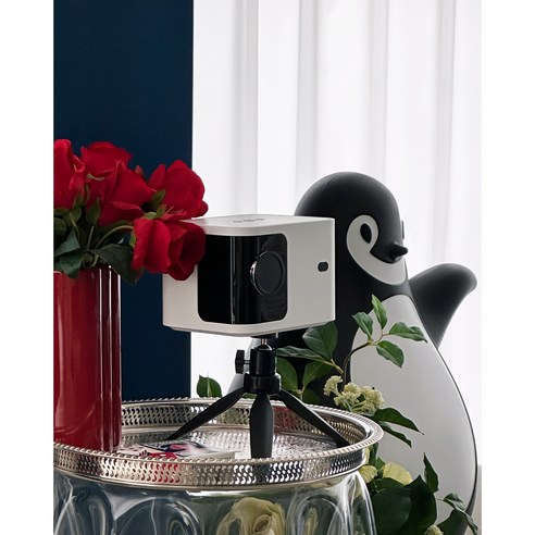 거실을 최첨단 홈 시나마로 변화시키는 4K 고화질 LCD 프로젝터