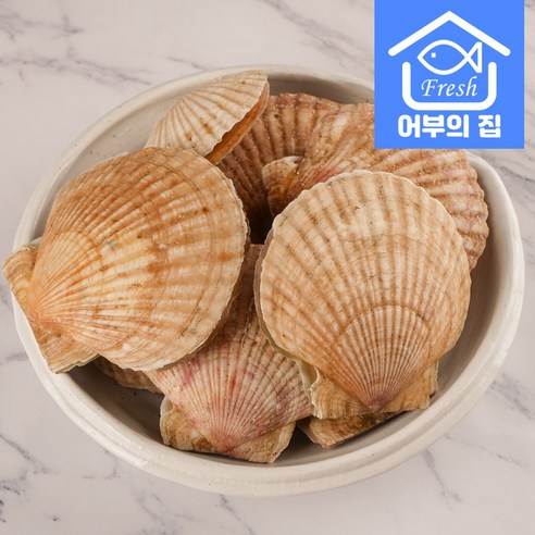 신선하고 맛있으며 영양가 풍부한 어부의집 제철 대왕 가리비
