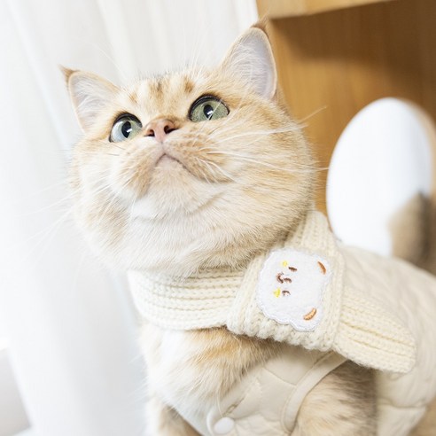 강아지목도리 고양이목도리 애견목도리 뜨개 니트 머플러, 아이보리, 1개