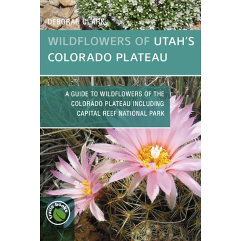 Wildflowers of Utah''s Colorado Plateau Paperback, Bower House, English, 9781934553800