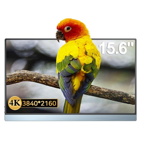 4K 모니터 추천 TOP12 에비크 4K UHD 15.6인치 은회색 DEX 포터블 HDR 휴대용 모니터 M156C10