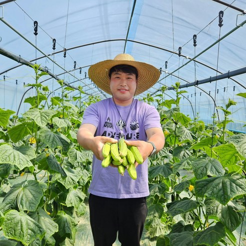 [산지직송 당일발송] 예스팜 백다다기 오이 오이지오이 소박이오이 양주오이2kg, 1개