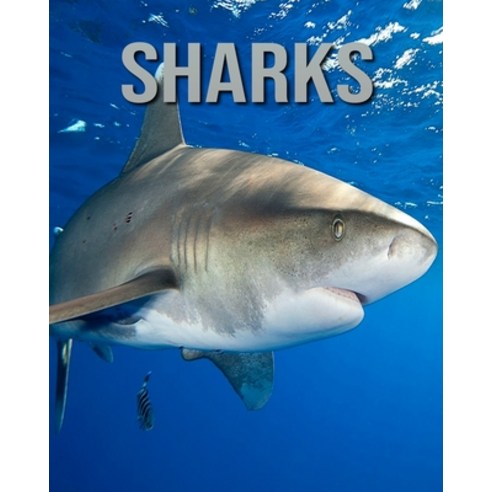 Sharks: Children''s Book An Amazing Animal Picture Book about Sharks for Kids Paperback, Independently Published