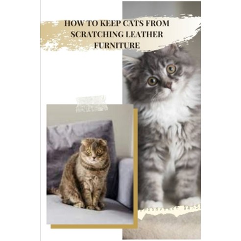 (영문도서) How T&#1054; Keep Cats from Scratch&#1030;ng Leather Furniture: Save Your Sofa Paperback, Independently Published, English, 9798527753486