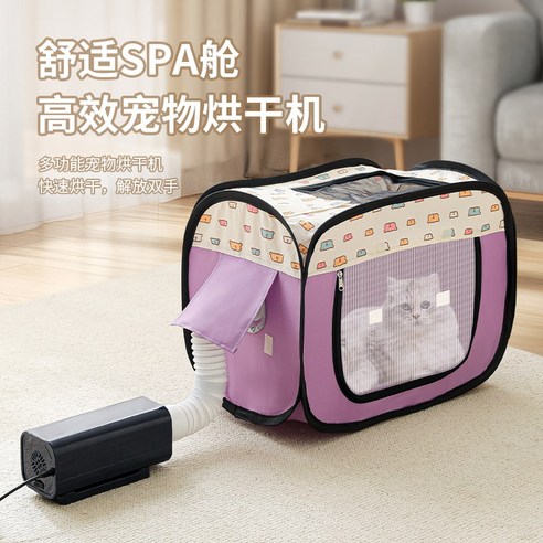 털과의 전쟁, 이제 드라이룸으로 종결!