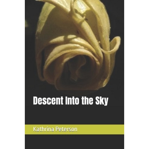 (영문도서) Descent Into the Sky Paperback, 978-0-9961509-6-5, English, 9780996150965