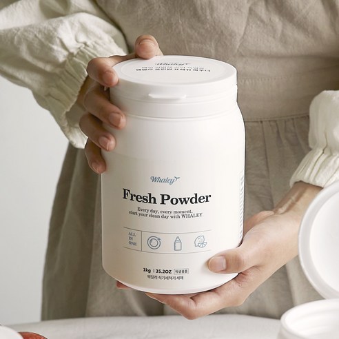 웨일리 식기세척기 세제 1kg 올인원, 1kg 2개