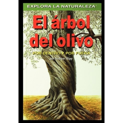 (영문도서) El arbol del olivo Paperback, Rosen Publishing Group, English, 9781435886339